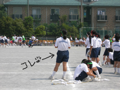 今日は中学の体育祭でした 猫とイラストと鉛筆な日々