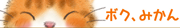 ピクチャ 2.png